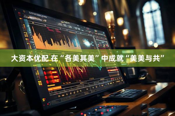 大资本优配 在“各美其美”中成就“美美与共”